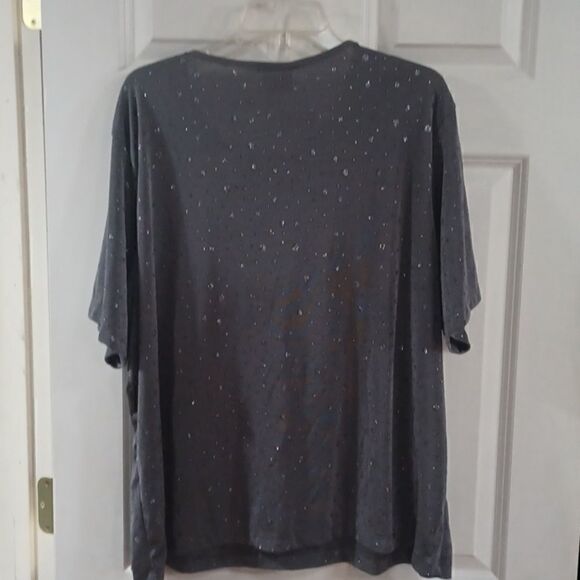 Silver Sparkle Top  - Picture 6 of 7